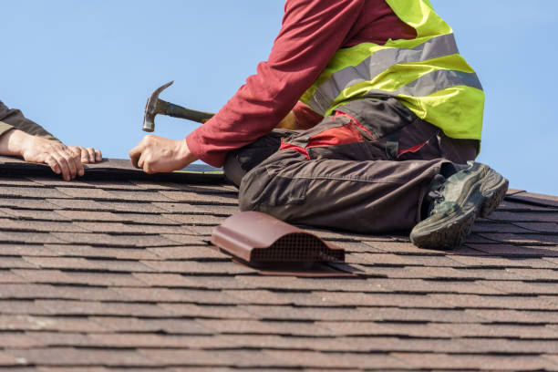 Best Roof Leak Repair  in Dansville, NY