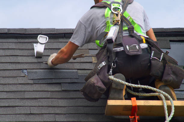 Best Gutter Installation and Roofing  in Dansville, NY