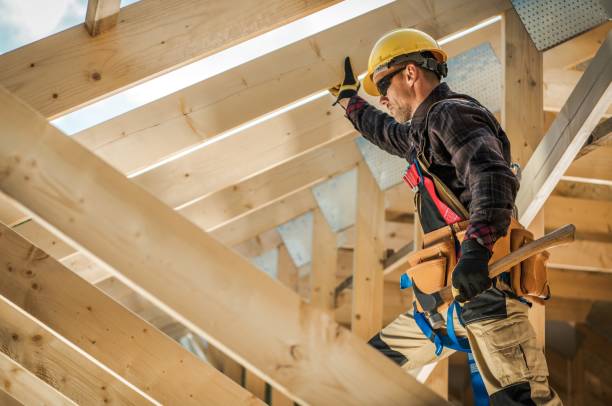 Best Roof Gutter Cleaning  in Dansville, NY