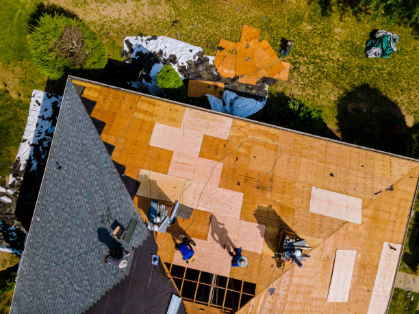 Best Shingle Roofing Installation  in Dansville, NY