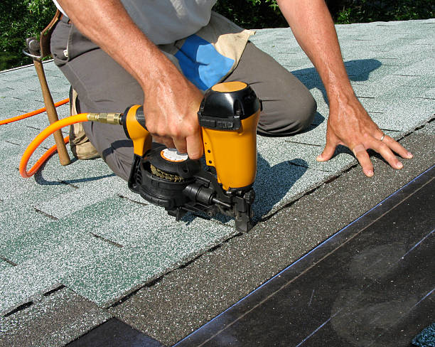 Best Roof Maintenance Services  in Dansville, NY