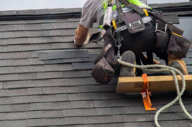Best Commercial Roofing Services  in Dansville, NY