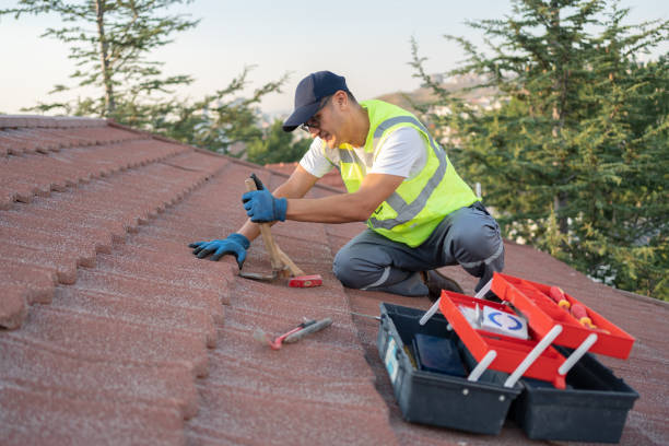 Best Roof Waterproofing Services  in Dansville, NY
