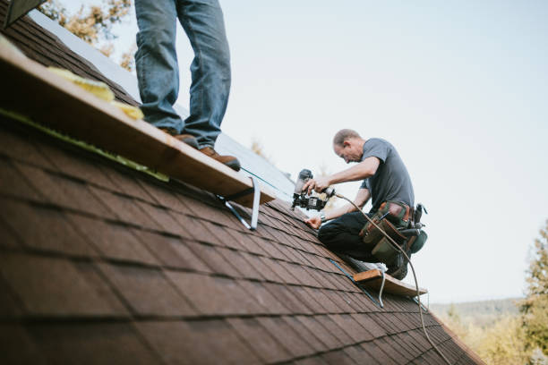 Best Local Roofing Companies  in Dansville, NY